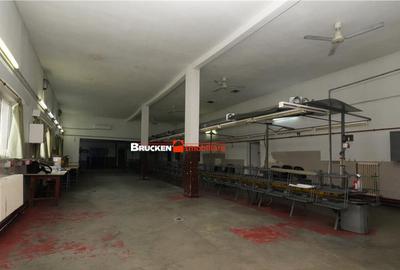 Hala de inchiriat in Marghita - 13