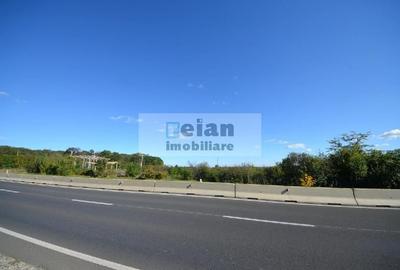 Tancabesti Stradal Dn1 Intravilan 4700mp, Dubla Deschidere 32/32 Ml - 4