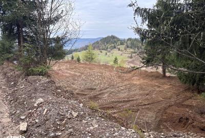 Spațiu comercial, în Dârlești - 4