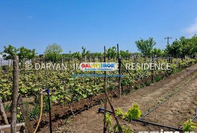 Teren in Poienari Apostoli, 21 E mp, Avantajos, DN1, 34.500 euro - 2