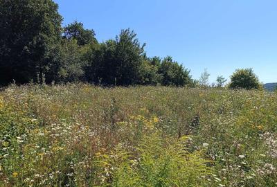 Spațiu comercial, în Corunca - 1