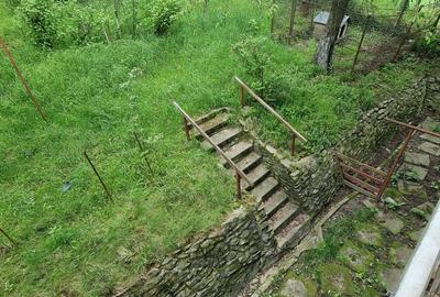 Campulung Muscel, Arges, inchiriere vila superba, la munte - 14