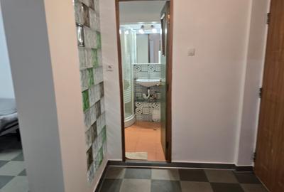 Sos. Virtutii Orsova bloc 1991, la parter spatioasa, rezidential, investitie - 10