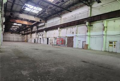 Depozit/hala/spatiu industrial Basarabia - Faur - 3