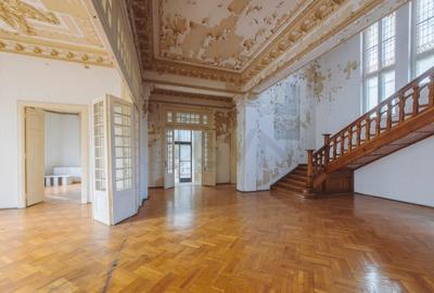 Vila deosebita Lascar Catargiu gradina mare Vila deosebita Lascar Catargiu gradina mare - 5