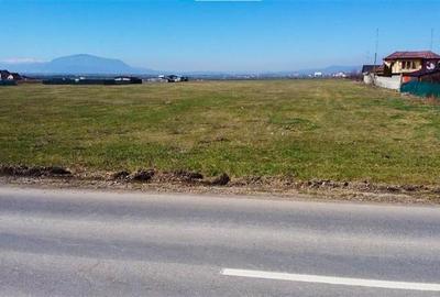 Teren intravilan 18.200mp, cu PUZ si PUD, ideal constructi case, Bod, Brasov. - 19