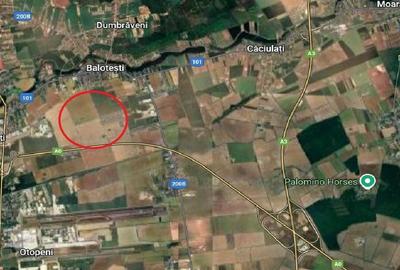 Teren agricol intravilan de 55000 mp, în Balotești - 3