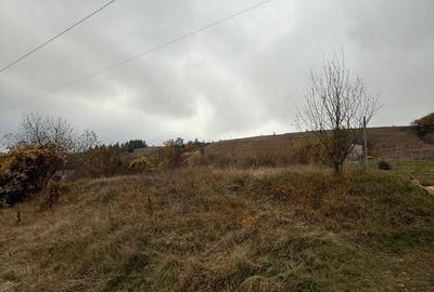 Spațiu comercial, în Ciurila - 1