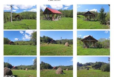 Teren de 13783 mp, în Avram Iancu - 4