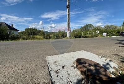 De vanzare Teren intravilan in Busag, ideal pentru casa ta! De vanzare Teren intravilan in Busag, ideal pentru casa ta! - 11