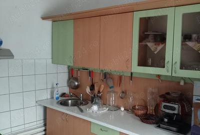 Casă cu 4 camere cu Teren 3264 Mp în Dorobanți - 4