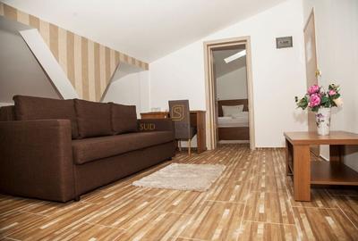 Proprietate cu profit rapid - Hotel cu amplasare premium, Popesti-Lerodeni - 27