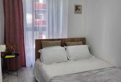 Apartament cu 2 camere semidecomandat în Dosu Bricii - 7