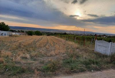 Teren de 1500 mp, în Central - 6