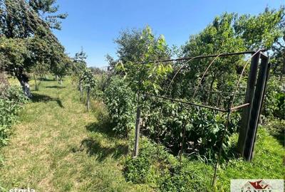 Casă cu 7 camere în Exterior Vest - 3