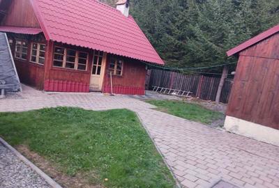 Cabana duplex an luncile prigoanei domeniul schiabil SURIANU - 7