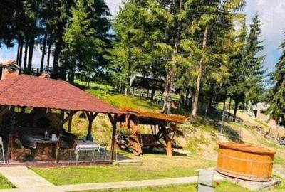 Casa de vacanta, 4 camere, 119 mp utili, 2300 mp de teren, Marisel - 2