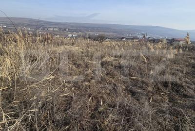 Teren Extravilan 6300 - potrivit pentru investitie - 2