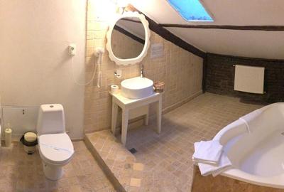 Apartament cu 8 camere decomandat în Central - 18