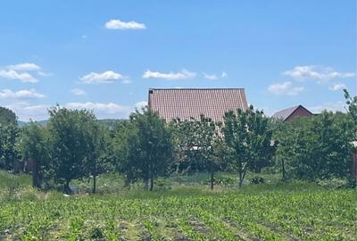 Teren de 1346 mp, în Girov - 8