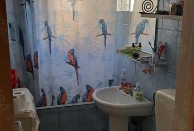 Apartament cu 2 camere semidecomandat în Malul Spitalului - 8