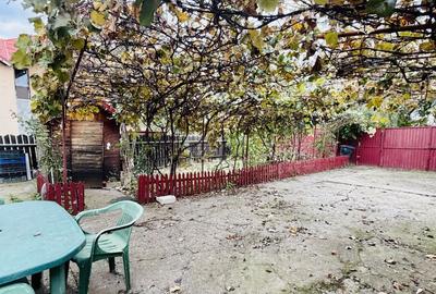 Casa - Frumusani - Pasarea - Calarasi - 16