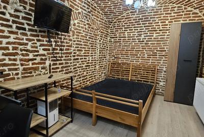 Garsonieră decomandată în Semicentral - 10