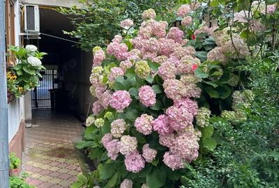 Apartament cu 2 camere semidecomandat în Central - 2