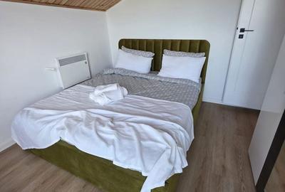 Casă cu 4 camere cu Teren 500 Mp în Domnești - 4