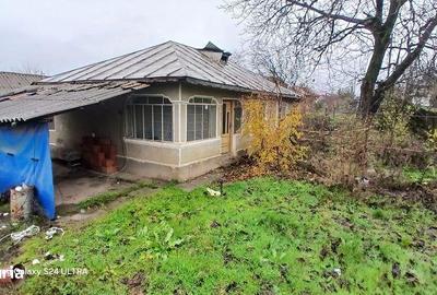 Teren de 4600 mp, în Botoroaga - 3
