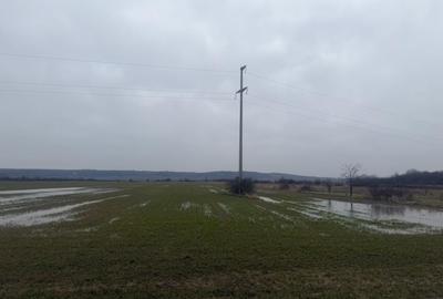 Teren agricol extravilan de 5000 mp, în Brestei - 1