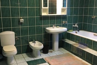 OVIDIU PARTEA CU GHIOLUL vila - 6