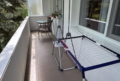 Apartament cu 2 camere semidecomandat în Aleea Carpați - 7