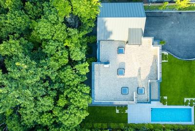 Vila superba la liziera padurii | Iancu Nicolae | Brtitish School | - 7