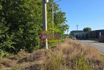 Otopeni /strada Alexandr Ioan Cuza - 2