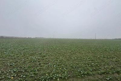 COMISION 0 | Teren intravilan | 7.473 mp | Zona Freidorf - 3