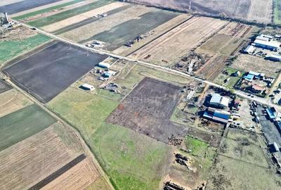 Teren de 31400 mp, în Codlea - 8