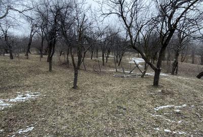 Teren 4652 mp cu izvor pe el, Lunca Mare, lângă păstrăvăria Doftana - 10