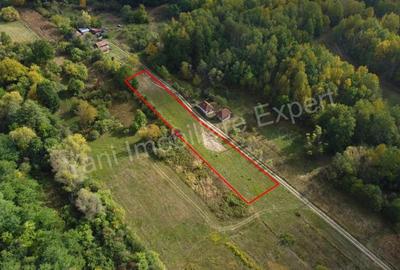 Teren de 2250 mp, în Ioanicești - 12