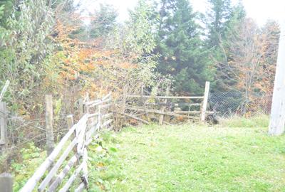 Teren intravilan situat in Busteni-Valea Alba - 2