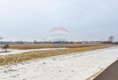 Teren intravilan de 5646 mp, în Stupini - 6