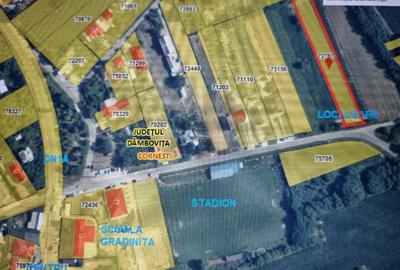 Teren de vanzare intravilan Cornesti Dambovita 2.440 mp - 4