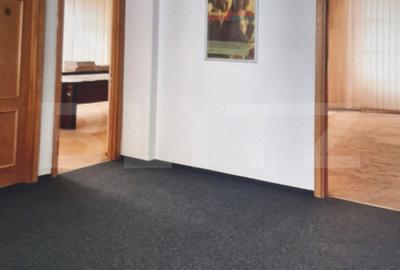 Spațiu comercial, de 450 mp, în Ultracentral - 12