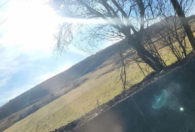 Teren de 5100 mp, în Baciu