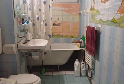 Apartament cu 4 camere în Dosu Bricii