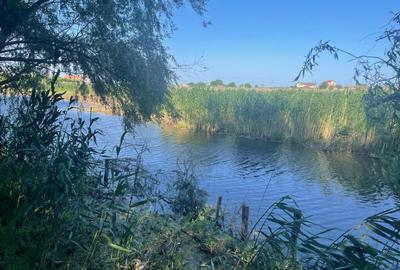 Teren intravilan 4.200 mp Murighiol - 14