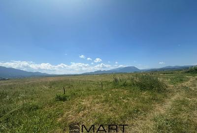 Teren Intravilan Rasnov 7.500 mp - 6