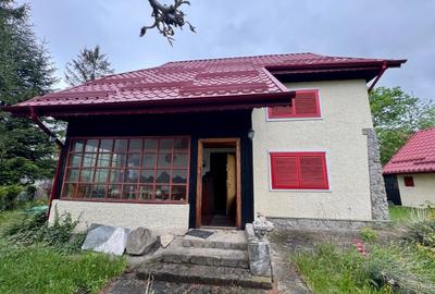 Vila vacanta Cheia - Prahova, pretabila pentru investitie - 38