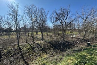 Teren de 960 mp, în Ambud - 4