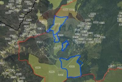 Padure de vanzare oportunitate de investi?ie - 6